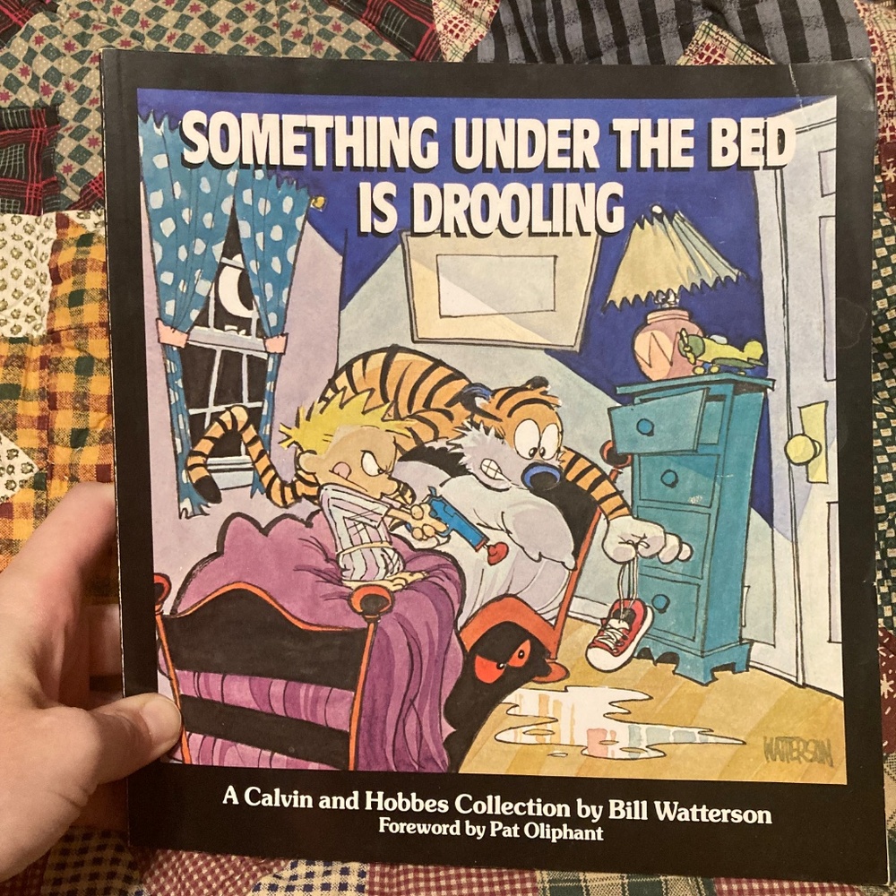 Calvin and Hobbes comic book collection - Picture 2 of 5